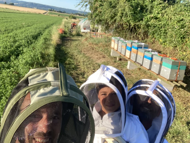 bee maison initiation apiculture 1